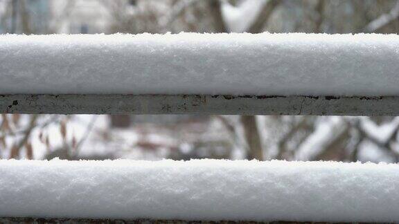 树的背景上覆盖着一层厚厚的雪寒假背景用雪的纹理篱笆上的一层雪把背景中的树都白了