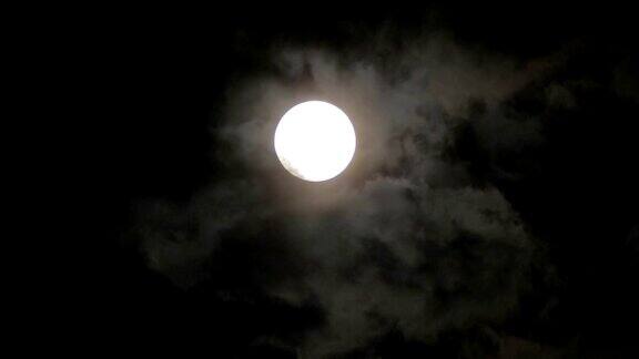 在树和云上面的夜空中满月