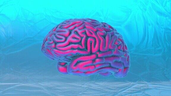人的大脑冻结线框旋转三维抽象艺术视频无缝循环运动