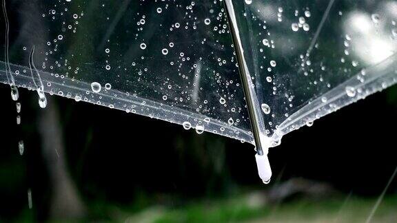 在外面的公园里下雨的伞的特写