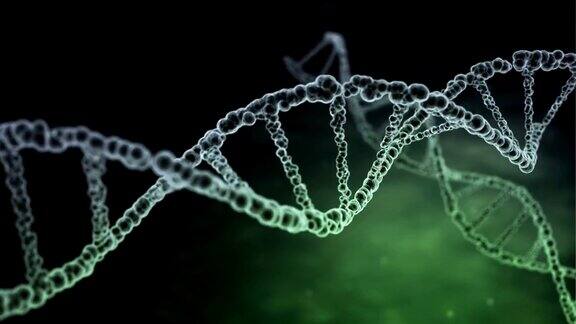 DNA鉴定培训