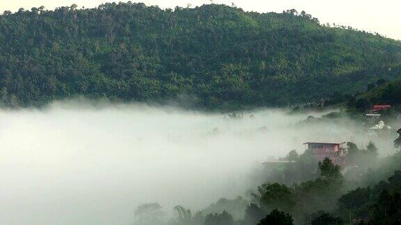 清晨薄雾山谷山和多层热带山在考霍泰国
