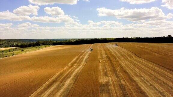 小麦收获鸟瞰图美丽的农业场景