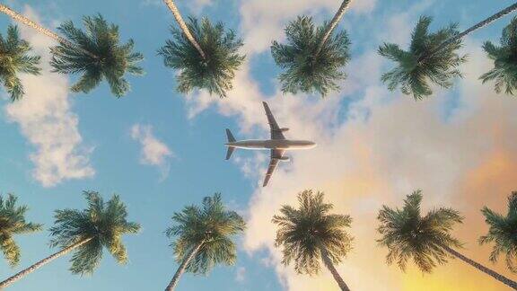 飞机飞过棕榈树上空