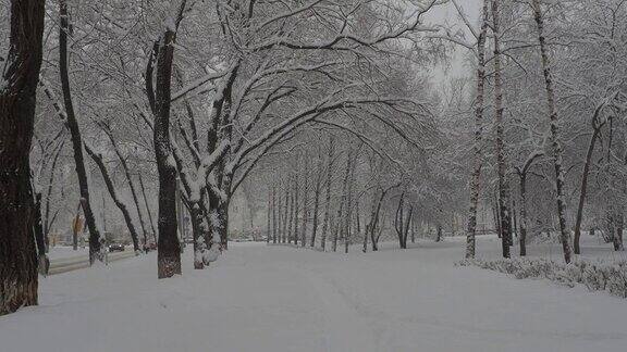 降雪