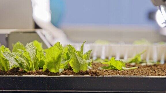 自动化机器人自动种植作物