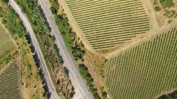 航拍:穿过葡萄园山谷的公路俯视图