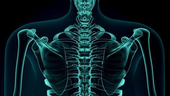 3D插图的肩膀疼痛医疗概念动画