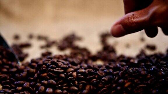 手掌上的咖啡豆有很多咖啡豆女性手拿咖啡豆烤咖啡咖啡咖啡师分散的咖啡豆选定的咖啡豆
