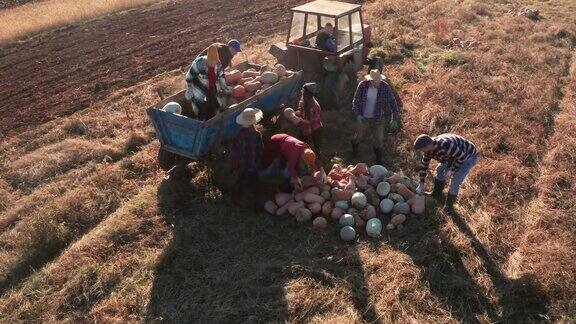 鸟瞰图农民把南瓜放在收获后的拖拉机拖车