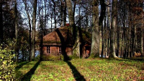 秋天森林中的房子