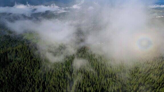 山林飞无人机雾霾云动针叶林