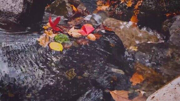 深秋的山谷枫叶落叶碧水