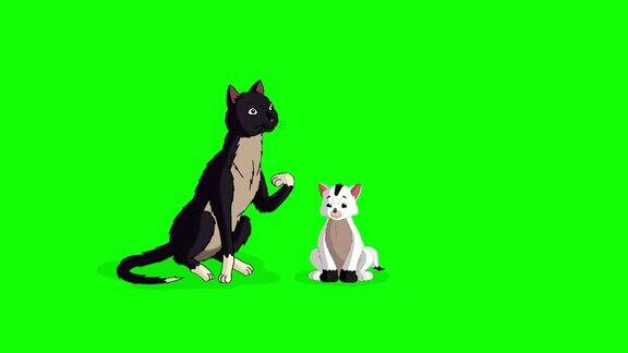 黑猫和她的白猫色度键