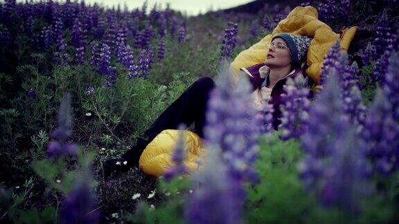 冰岛的夏天女背包客在草地上放松与盛开的羽扇豆