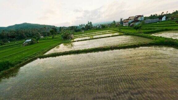 亚洲农业稻田原生态村庄雨林山与水坑鸟瞰图