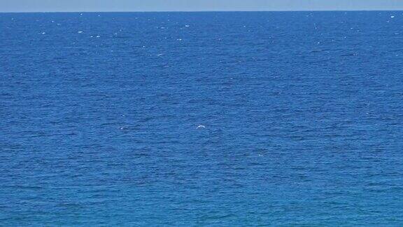 蓝色的大海无限的地平线4k