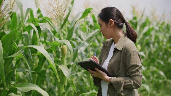 农民使用数码平板电脑智能农业