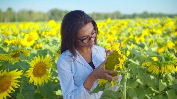 在田间检查作物质量的女性农学家
