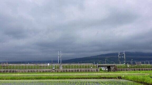 4K稻田景观