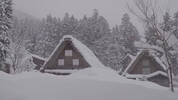 白川乡(Shirakawa-go)的传统茅草屋位于日本岐阜县(Gifu)、石川县(Ishikawa)和富山县(Toyama)附近的雪山中