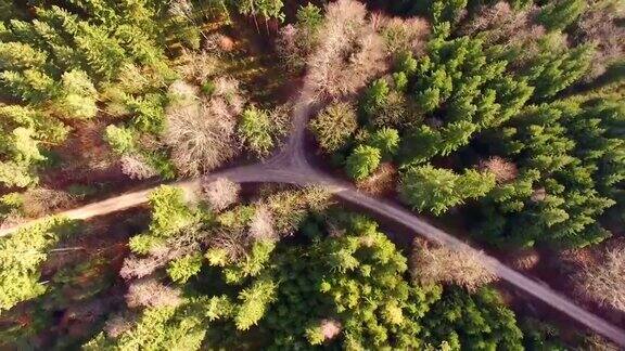 鸟瞰图:秋天巴伐利亚森林里的小路