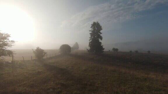 在雾蒙蒙的早晨在树梢上近距离飞行航拍在fpv运动无人机云朵自然山谷景观丘陵地形动态电影的看法