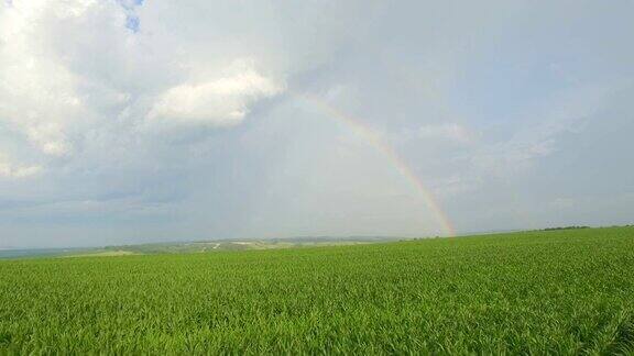田野上空阴云密布的天空上的彩虹鸟瞰图