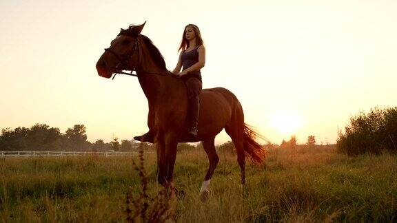 低角度视角:快乐的年轻女孩骑着强大的马在阳光明媚的清晨