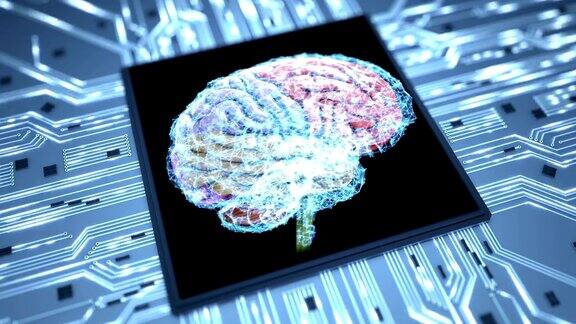 未来芯片上的大脑