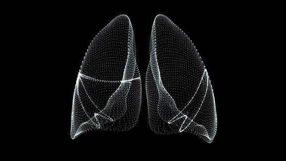 人类的肺部呼吸在一个全息表示屏幕3d-循环