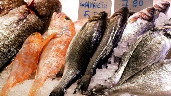 琳琅满目的鲜鱼摆在鱼市的冰柜上新鲜市场上的海鲜