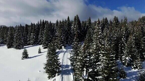 天线:冬天下雪的森林