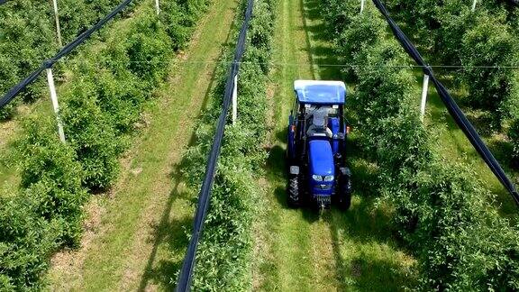 农民驾驶拖拉机穿过苹果园-无人机镜头