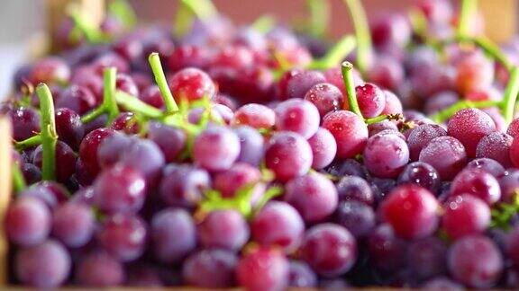 鲜果葡萄