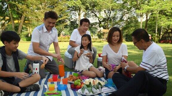 几代同堂的家庭在公园野餐