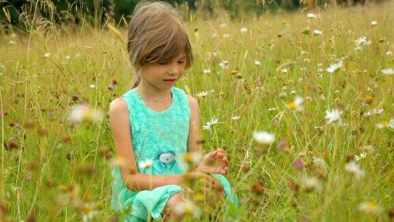 小女孩在夏天的田野里