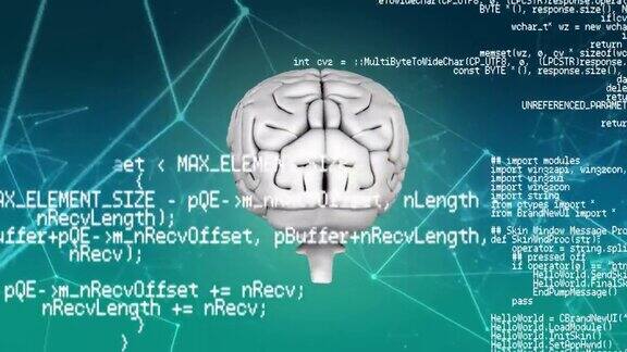 大脑与网络连接的数字动画