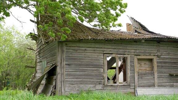 在草坪中间的废弃的木屋