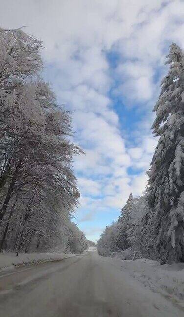 驾车穿过雪原森林