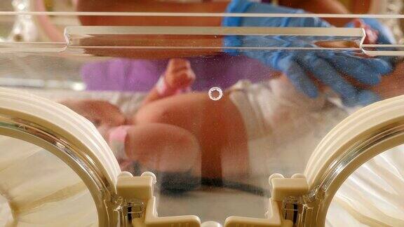 在产科医院的婴儿通过玻璃球新生的生命支持医院强化治疗:CCUICUITU穿着婴儿短汗衫的早产儿4k