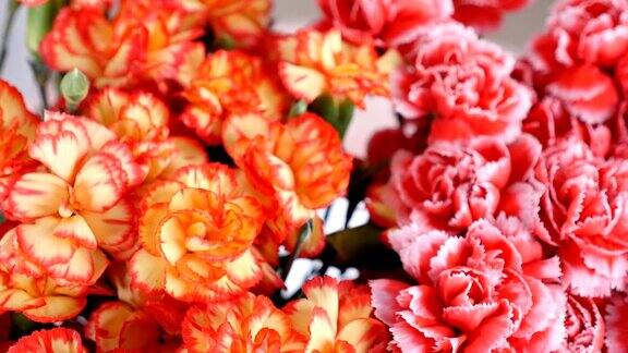 花束旋转花卉组成由亮黄色橙色和粉红色的土耳其康乃馨