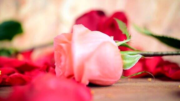 情人节木地板上的粉色玫瑰花