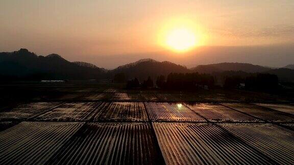 航拍画面日本乡村的日落景观