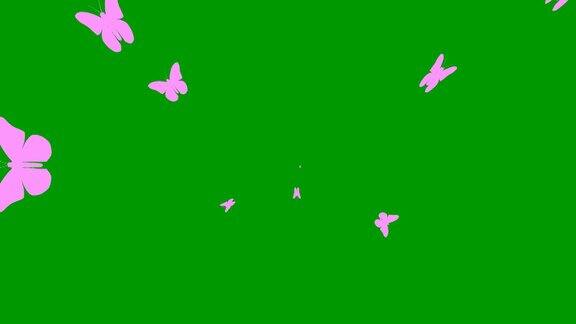 活泼的粉红色蝴蝶从中心飞起矢量插图孤立的绿色背景