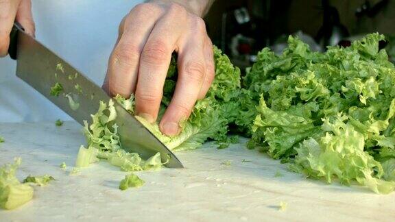 厨师们亲手切一片新鲜的绿色沙拉叶子