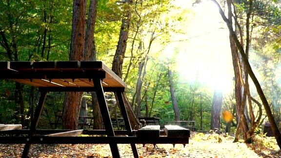 秋天的野餐长椅