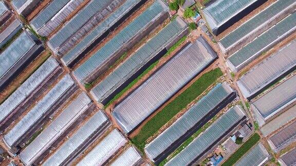 中国农场现代温室种植的航空摄影