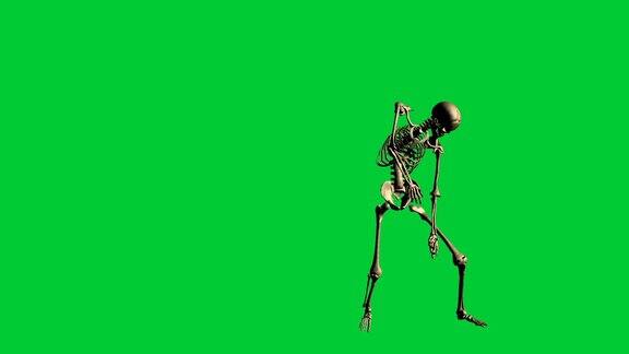 骨骼刺刀钻的3d动画-在绿色屏幕上分离
