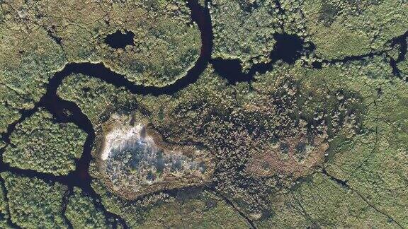奥卡万戈三角洲的水道和泻湖的高空鸟瞰图